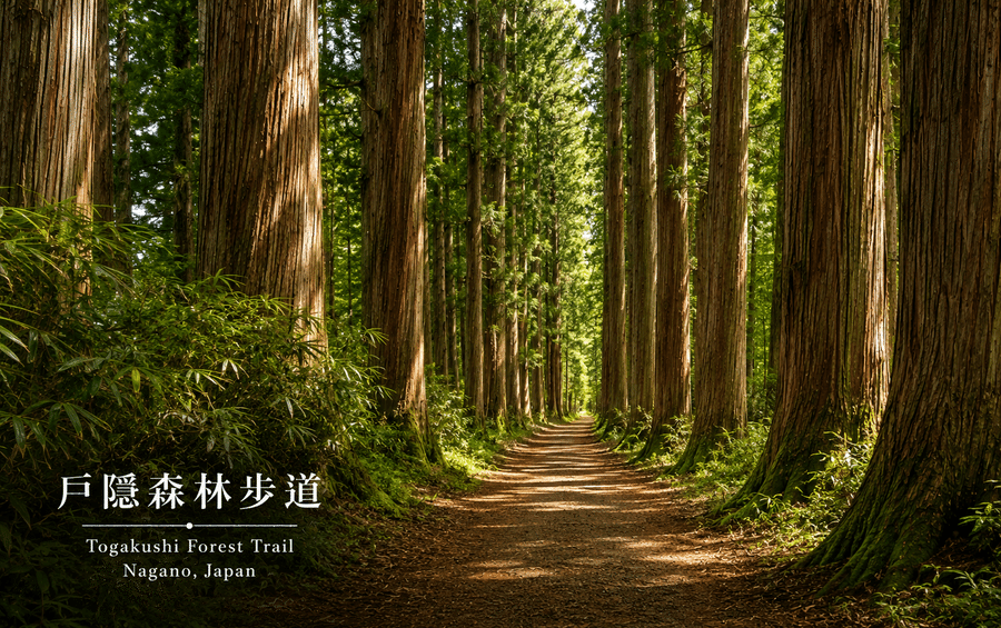 4天3夜|MMS-04|中央高原.星空溫泉之旅