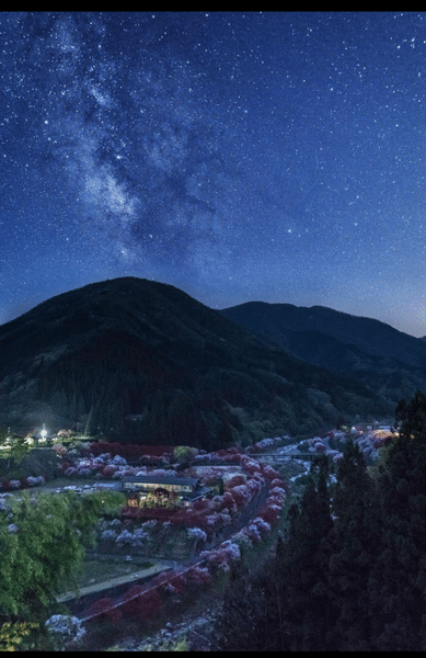 4天3夜|中央高原.星空溫泉之旅