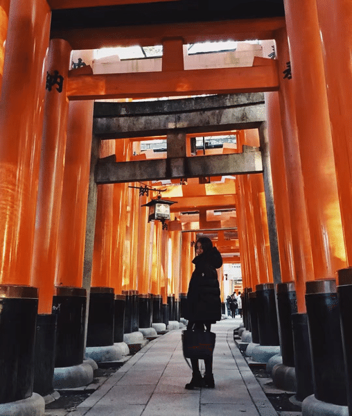 8-Day Japan Arts, Cuisine & Culture Experience ｜Starts in Osaka to Tokyo